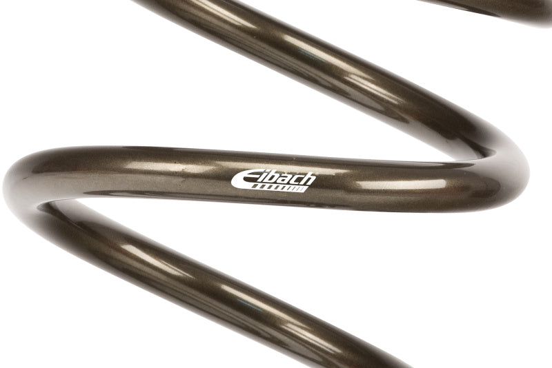 Eibach Platinum Series Dirt Modified Front Springs 9.5in L 3.82in ID 5in OD 550 LB
