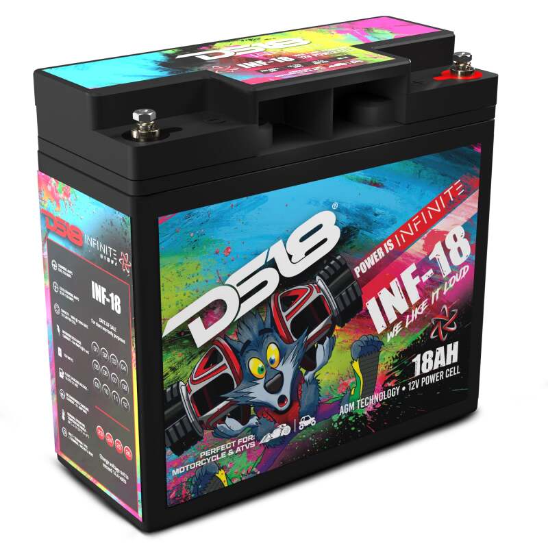 DS18 750 Watts 18 AH Infinite AGM Power Cell Battery