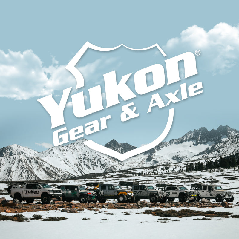 Yukon Gear Dura Grip Clutch Kit for Chrysler/AAM 11.5in