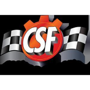 CSF