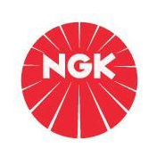 NGK Spark Plugs
