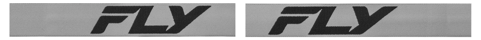 Focus Snow Goggle Silver/Char W/ Silver Mirror/Smoke Lens