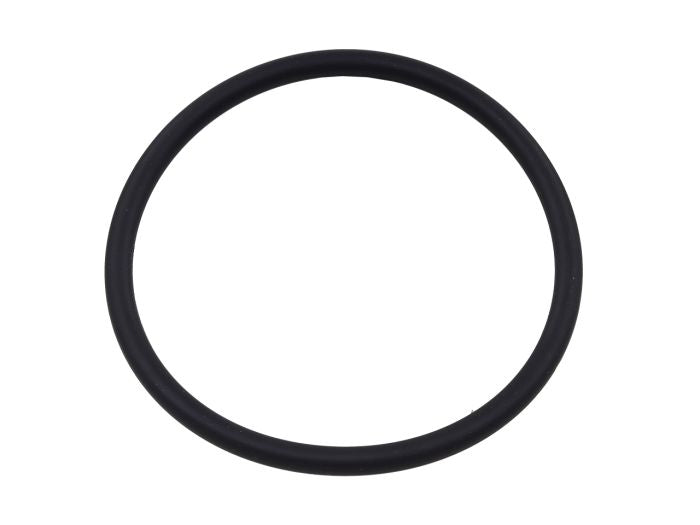SPI FUEL PUMP SEAL