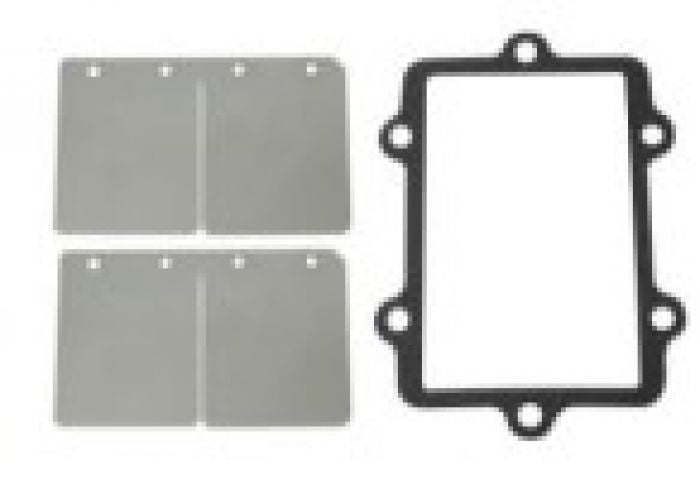 SPI REED VALVE REPAIR KIT A/C