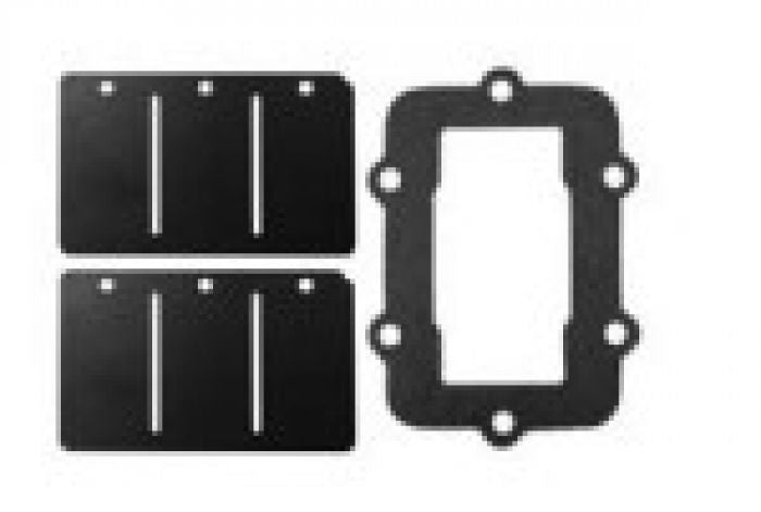SPI REED VALVE REPAIR KIT S-D