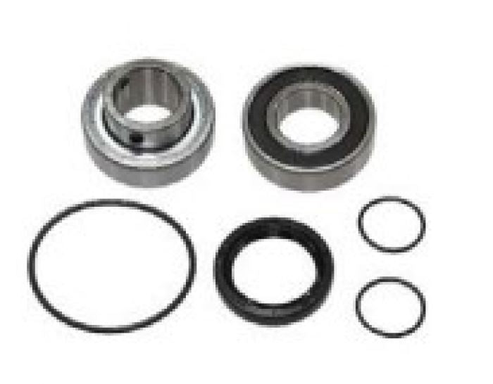 SPI, CHAIN CASE BEARING KIT