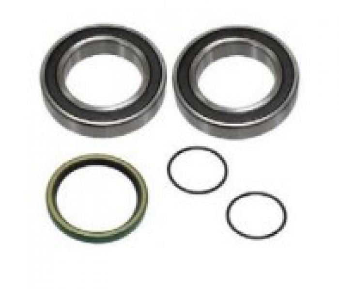 SPI, CHAIN CASE BEARING KIT