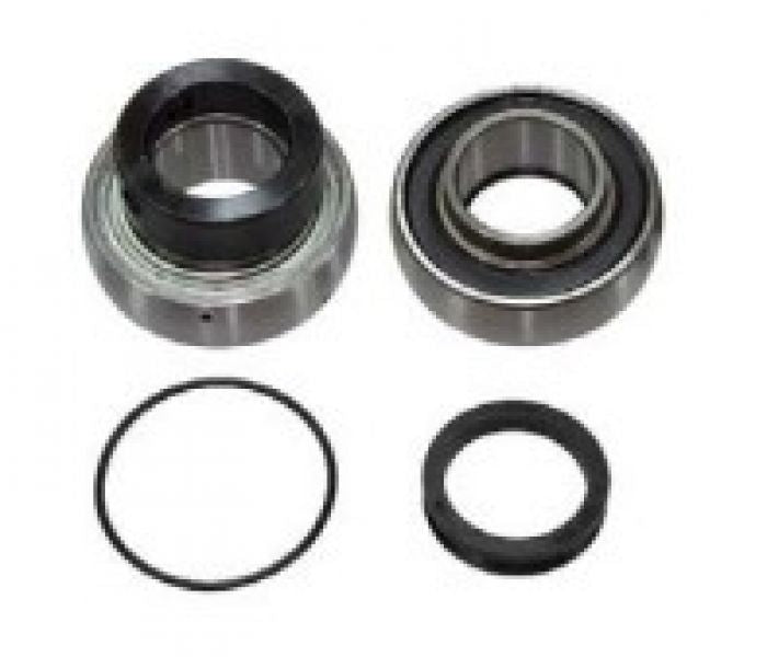 SPI, CHAIN CASE BEARING KIT