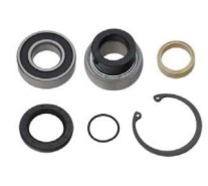 SPI CHAIN CASE BEARING KIT