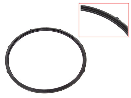 SPI FUEL PUMP SEAL