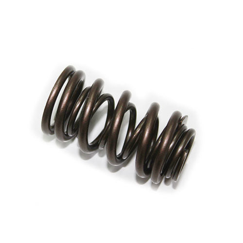 PSYCHIC EXHAUST VALVE SPRING