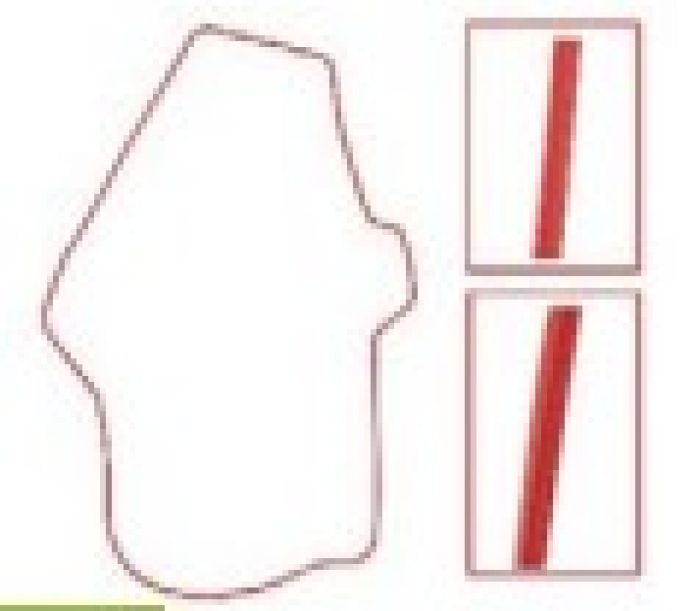 SPI CHAINCASE GASKET