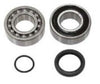 SPI CHAINCASE BEARING KIT