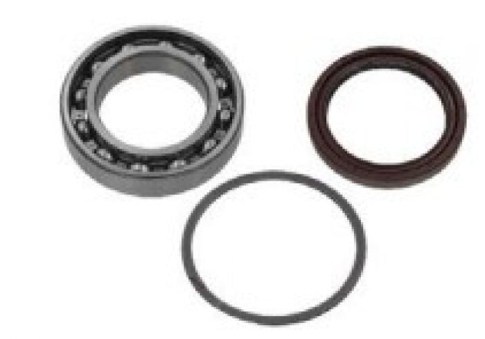 SPI CHAINCASE BEARING KIT