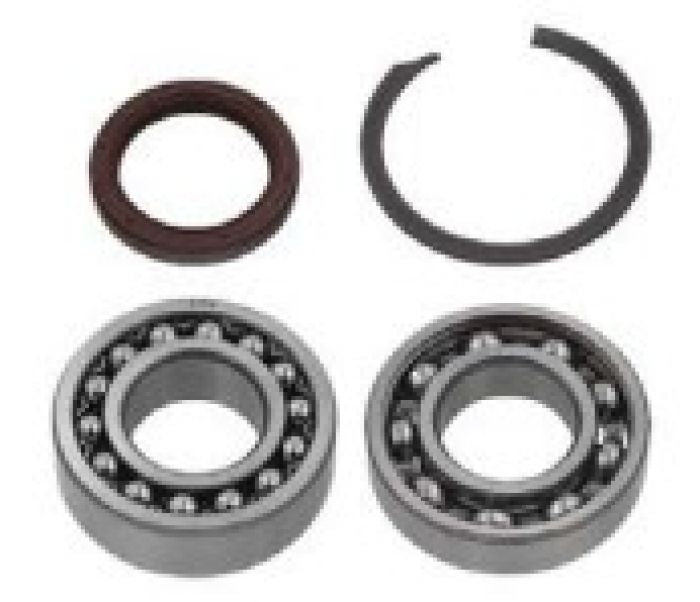 SPI CHAINCASE BEARING KIT