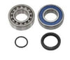 SPI CHAINCASE BEARING KIT