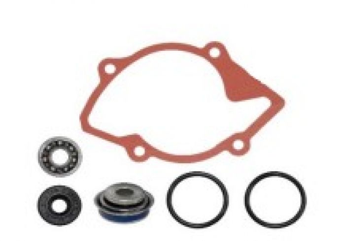 SPI WATER PUMP REPAIR KIT