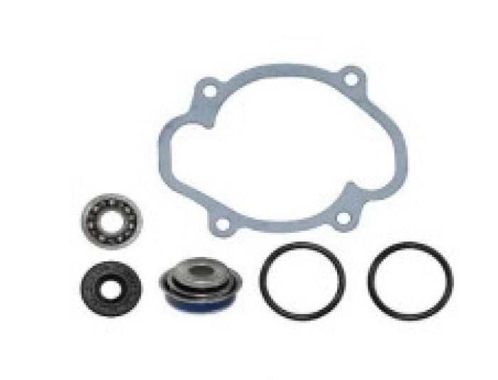 SPI WATER PUMP REPAIR KIT