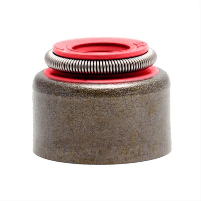 KPMI SEAL, RED VITON, 6MM STEM X 0.385 GUIDE (PACK OF 5)
