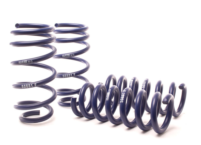 H&amp;R 11-14 Dodge Charger RT (AWD) Max/Plus V8 Sport Spring