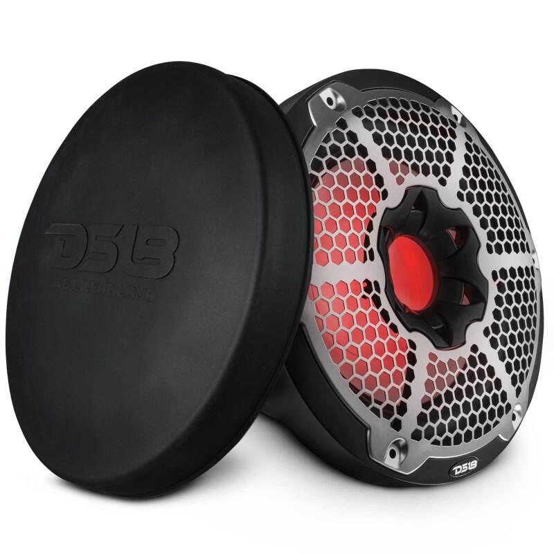 DS18 Subwoofer &amp; Enclosure 10in 300 Watts RMS 4 ohm SVC Black w/ Covers