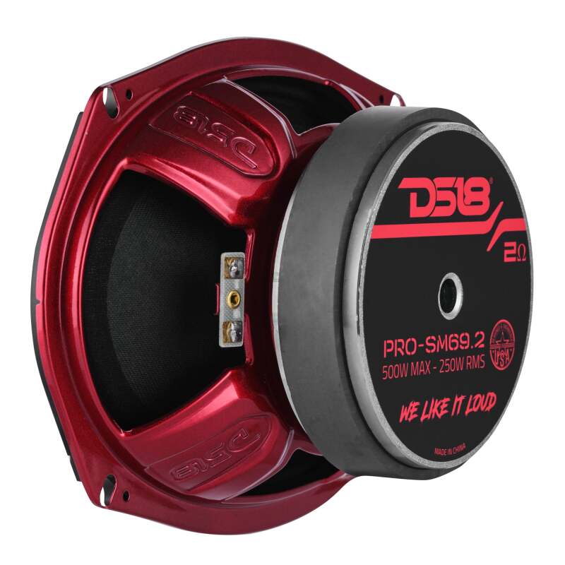 DS18 6x9in 250 Watts RMS 2 ohm Mid-Range Loudspeaker Shallow
