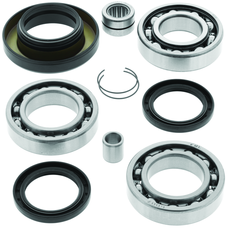 QuadBoss 02-03 Honda TRX400FW FourTrax Foreman 4x4 Rear Differential Bearing &amp; Seal Kit