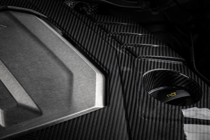 APR 21-26 Audi RS6 Avant Engine Cover - Carbon Fiber