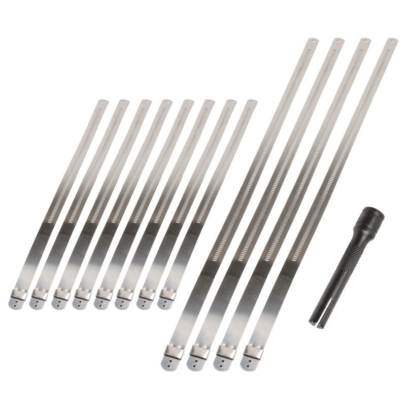 DEI Stainless Steel Positive Locking Tie &amp; Tool Kit - 8in (8 Pack) &amp; 14in (4 Pack)