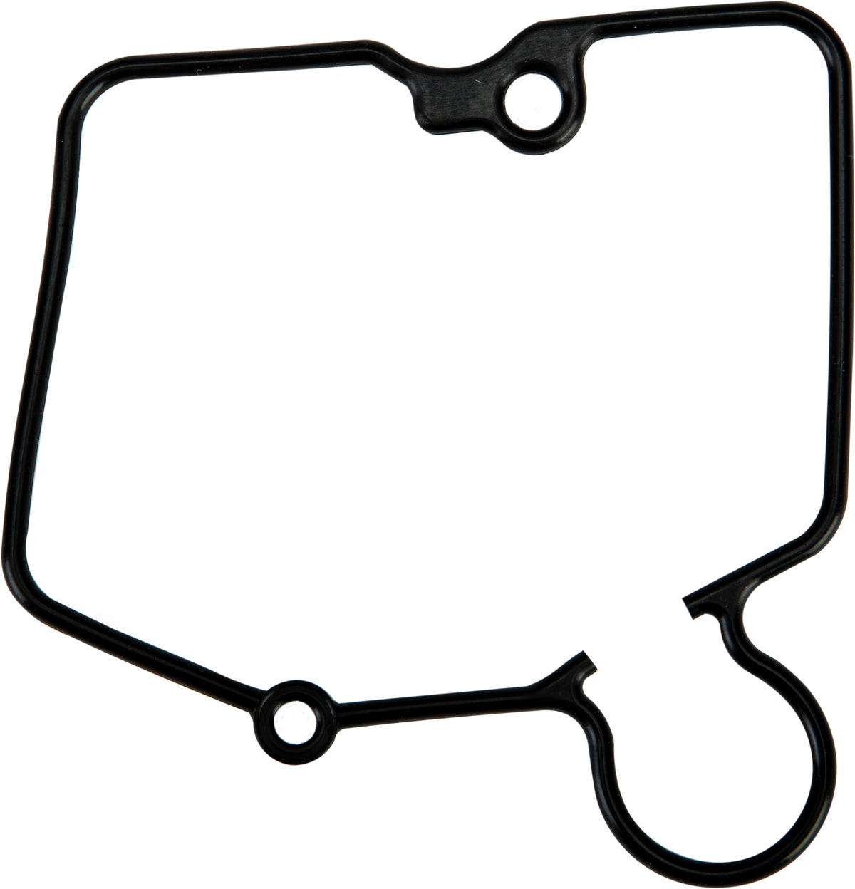 Float Bowl O Ring/Ea