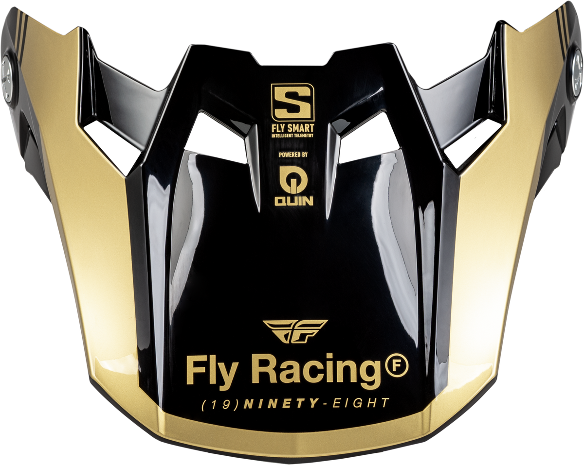 Formula S Carbon Legacy Visor Black/Gold Xl/2x