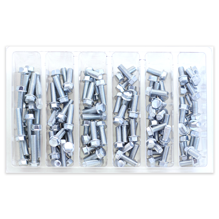 SVC M6 8MM HEX FLNG BOLT ASST1