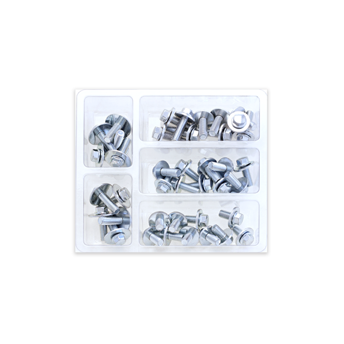 SVC M6 HEX FLNG BOLT/WSHR ASST