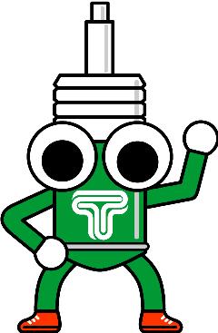 Tein Damper Keychain with Wrench - Green/Black