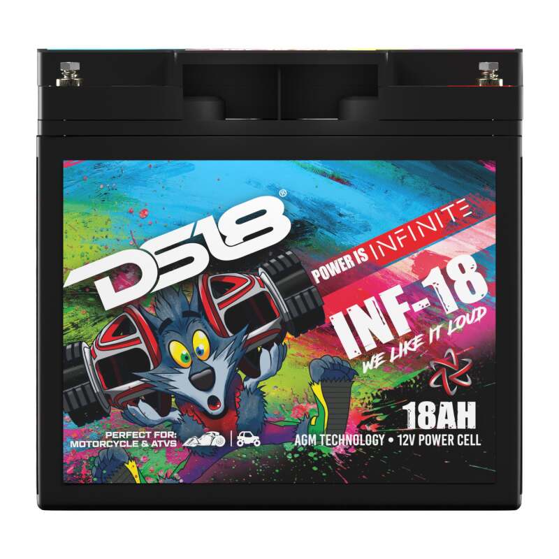 DS18 750 Watts 18 AH Infinite AGM Power Cell Battery