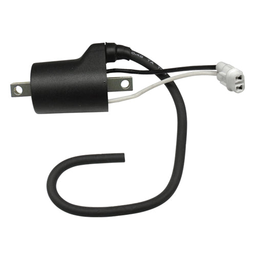 IGNITION COIL POLARIS