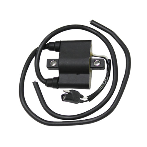 IGNITION COIL POLARIS