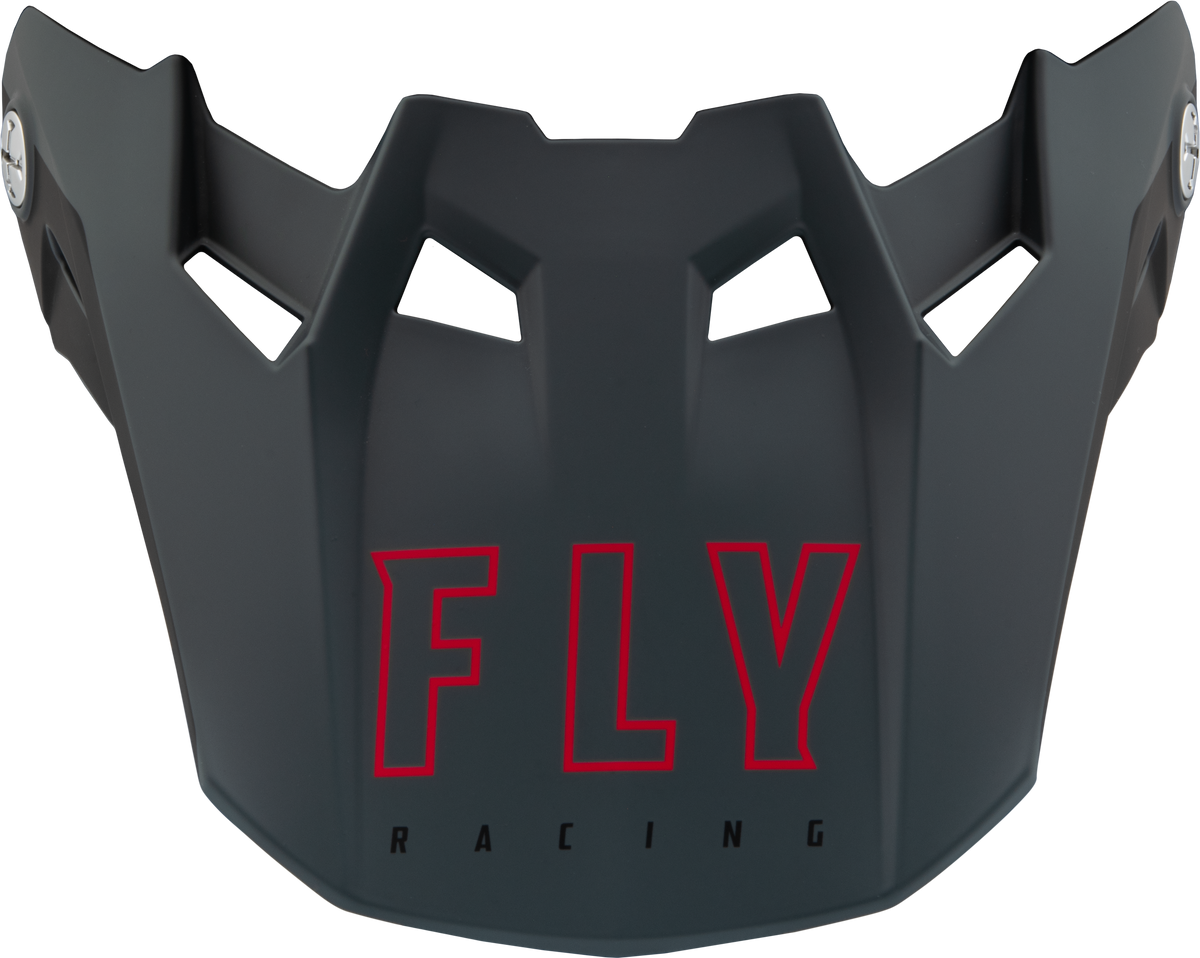 Formula Cc Centrum Visor Matte Grey/Black Md/Lg