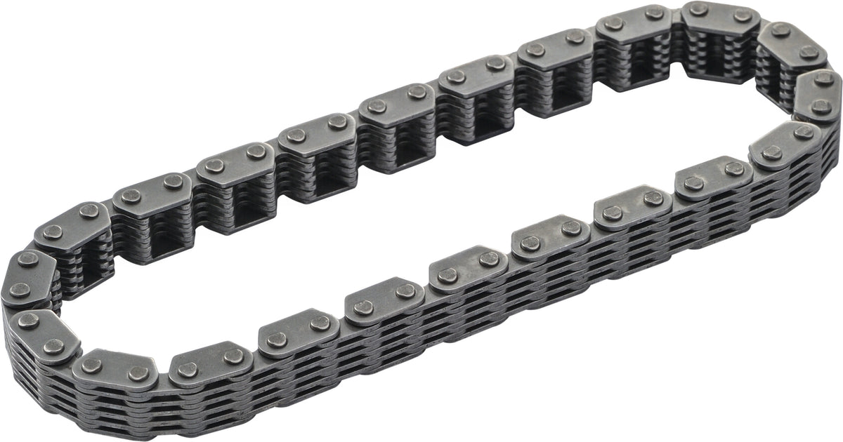 Primary Cam Chain Tc 88&quot; Outer OEM Repl
