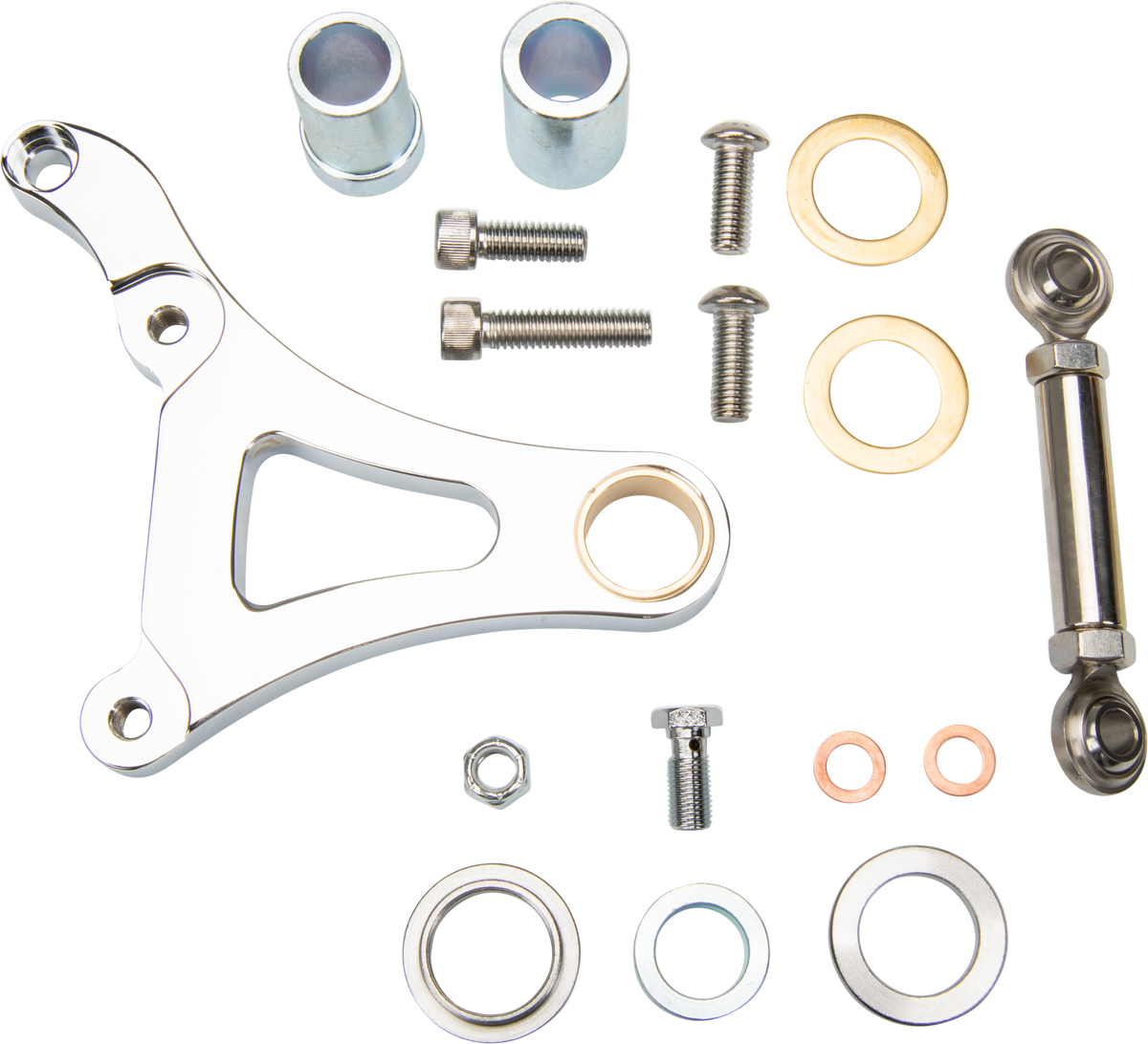 Left Caliper Chrome Springer