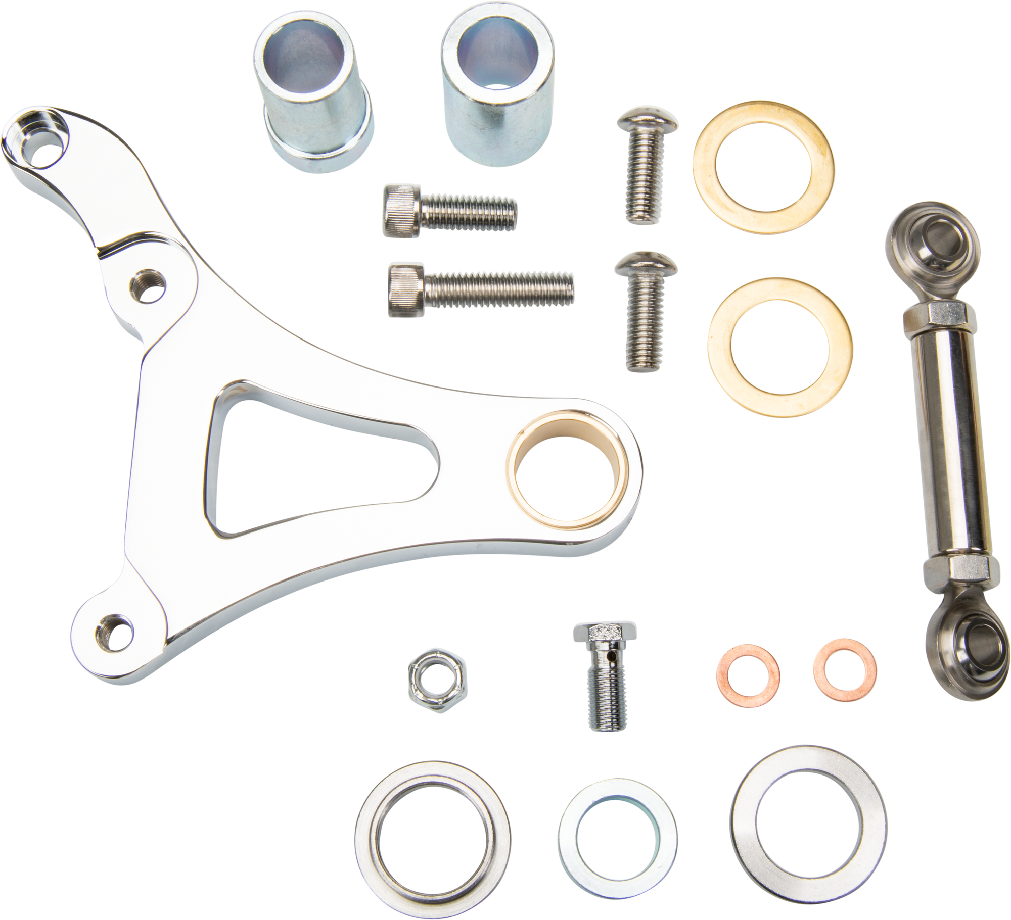 Left Caliper Chrome Springer