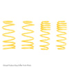 ST Sport-tech Lowering Springs Chevrolet Impala Caprice Sedan / Buick Roadmaster Sedan