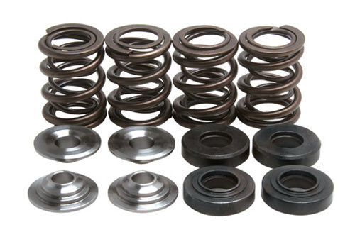 KIBBLEWHITE VALVE SPRING KIT .480" LIFT