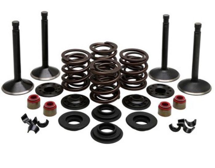 KPMI ENGINE KIT, HARLEY-DAVIDSON?, SHOVELHEAD 74", 1966-'77