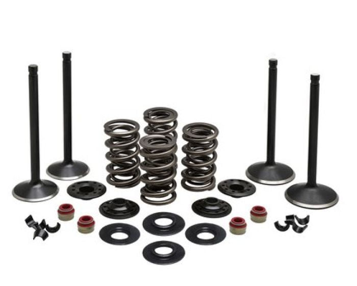 KPMI ENGINE KIT, HARLEY-DAVIDSON?, EVOLUTION, 1984-'99
