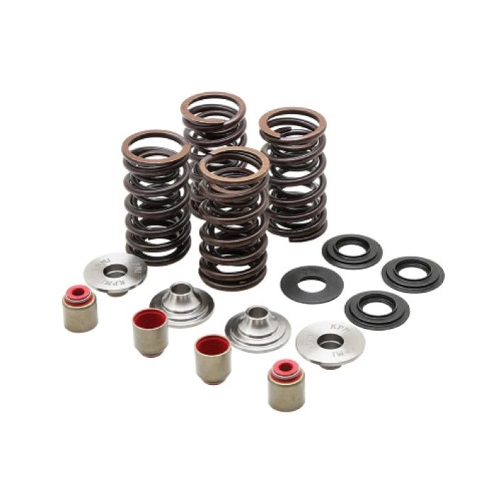 KPMI RACING SPRING KIT, TITANIUM, 0.450" LIFT