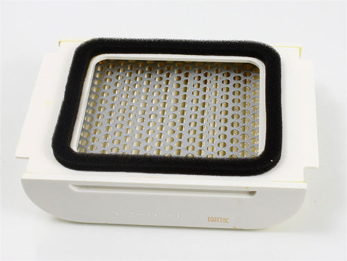 HI FLO - AIR FILTER HFA4904