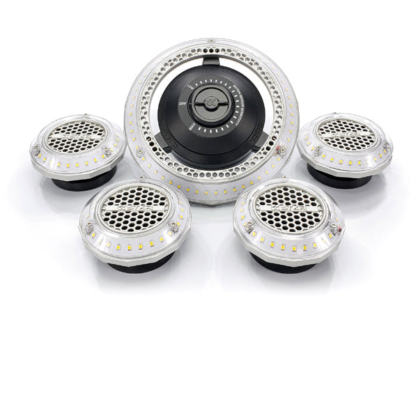 RISK RACING MPI - MULTI POINT MOTION ACTIVATED LIGHTING SYSTEM