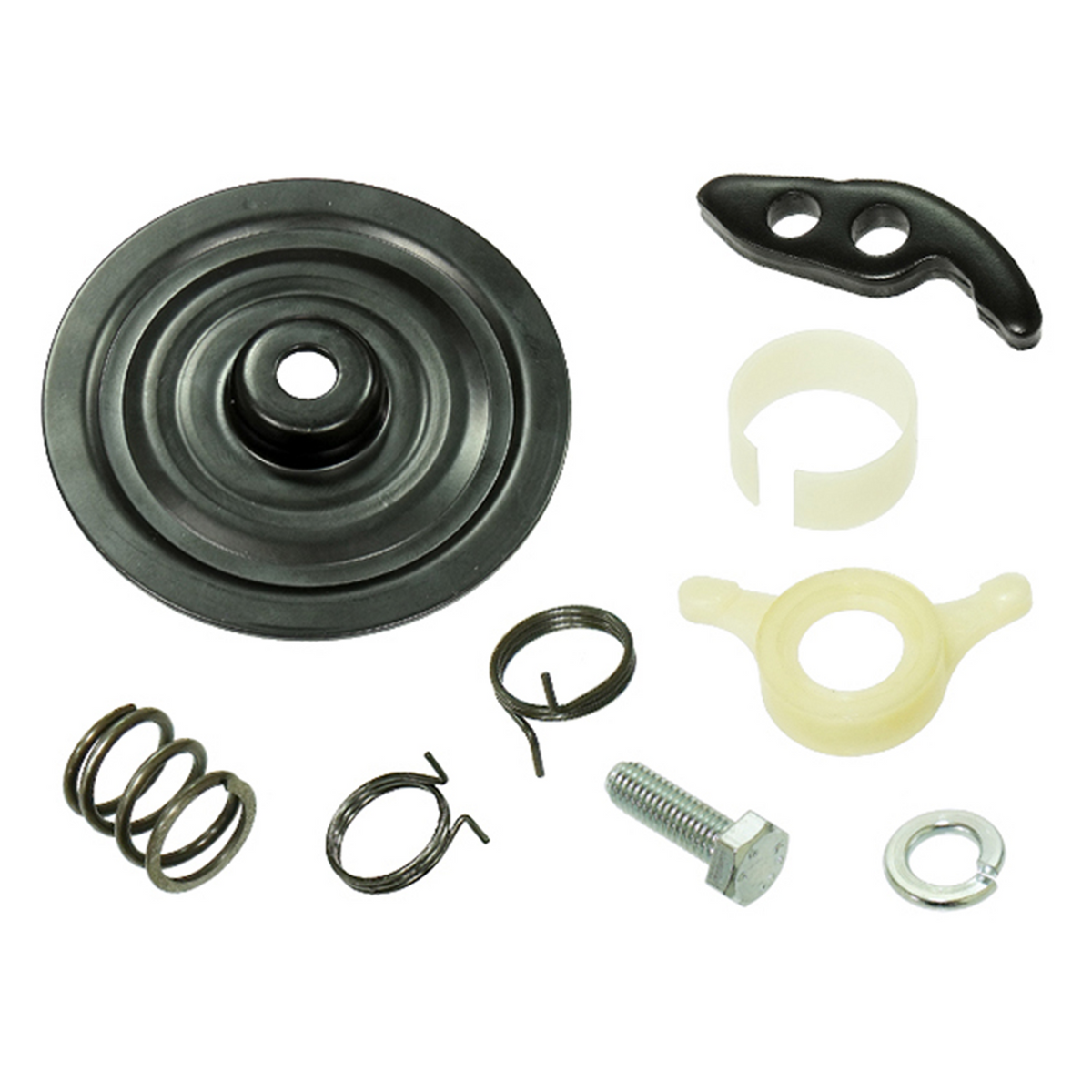 SPI PAWL KIT