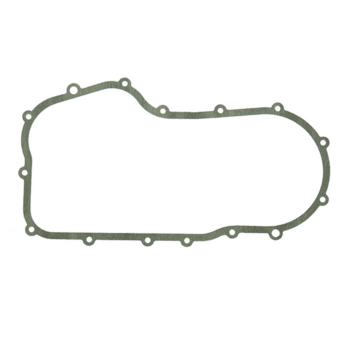 SPI CHAIN CASE GASKET